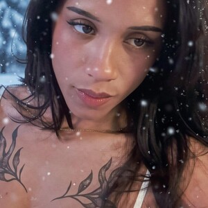 Profile preview